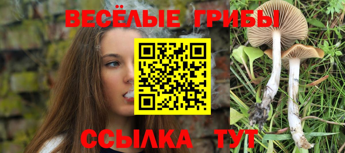 Джанкой  Псилоцибиновые грибы прущие грибы  купить   Вход с VPN 