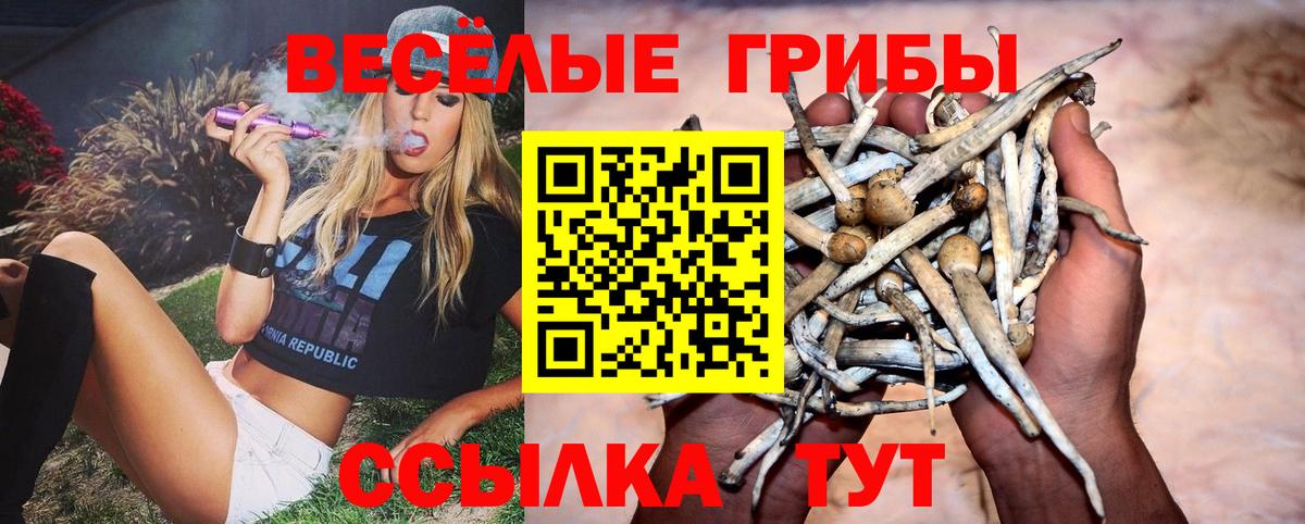 Псилоцибиновые грибы GOLDEN TEACHER Джанкой